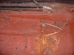 Placa del piso del lado del pasajero, riel de asiento trasero derecho Fiat 500 antiguo